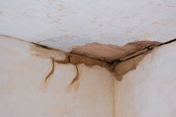 Best Flood damage cleanup  in Fords Prairie, WA