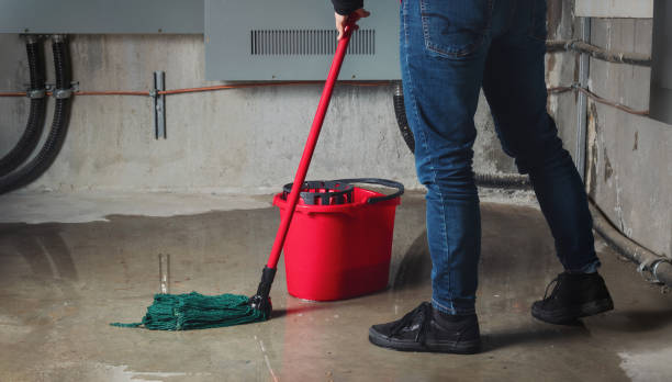 Best Fire Damage Restoration  in Fords Prairie, WA
