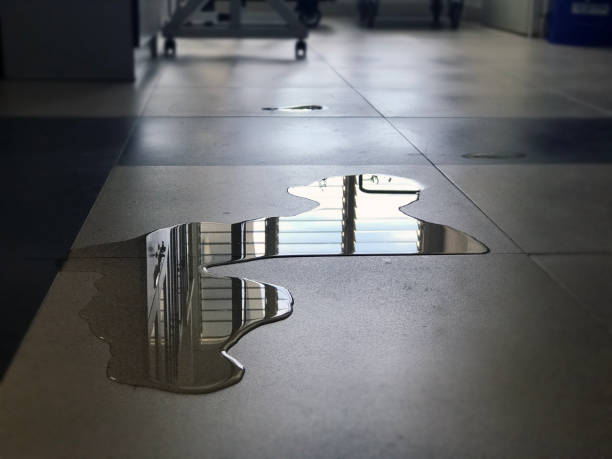 Best Water damage restoration near me  in Fords Prairie, WA