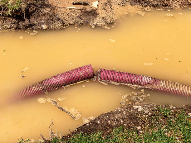 Best Water damage restoration company  in Fords Prairie, WA