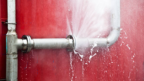 Best Basement water damage restoration  in Fords Prairie, WA