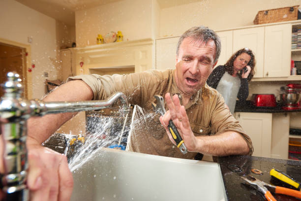 Best Professional water damage repair  in Fords Prairie, WA